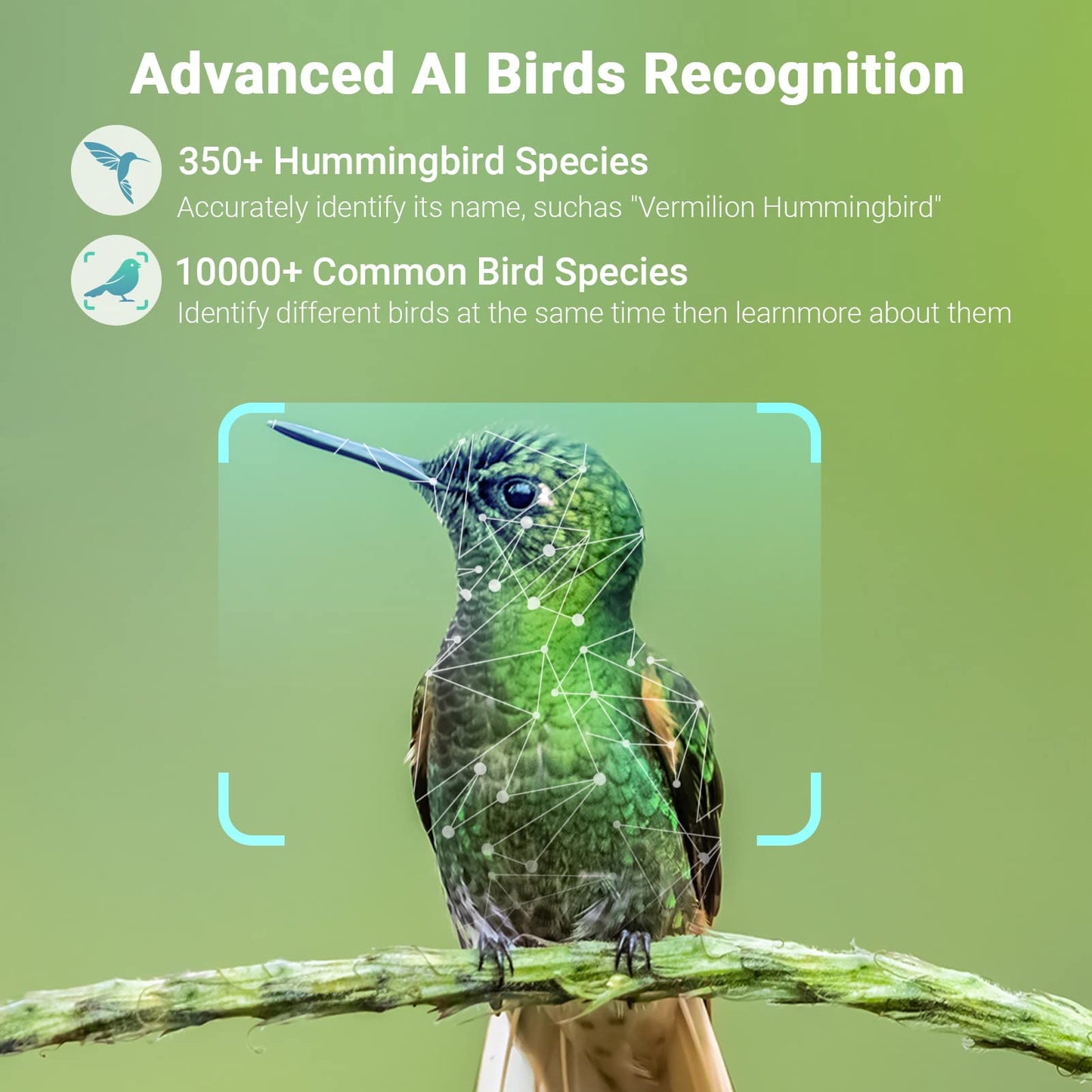 Wireless Outdoor Bird Feeder with Solar-Powered Camera: 1080 HD Live Video, AI Recognition, Dual Feeding Troughs, Ideal for Bird Watching Enthusiasts and Nature Lovers