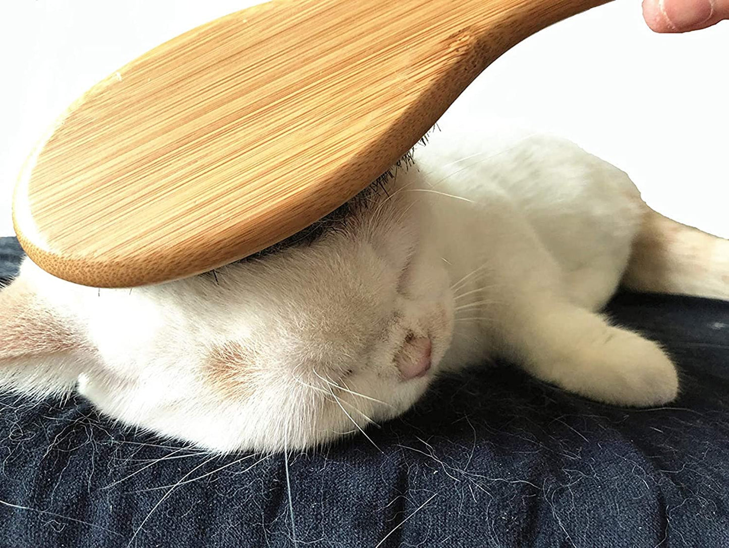 Japanese Design Natural Bamboo Boar Bristle Dog/Cat Brush for Shedding